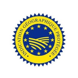 logo IGP logo IGP