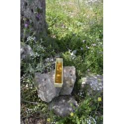 Miel de sapin BIO 420g