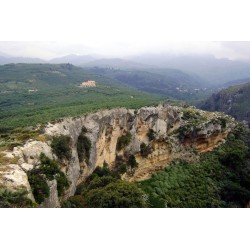 Huile d'olive Bio de Crète AOP Kolymvari