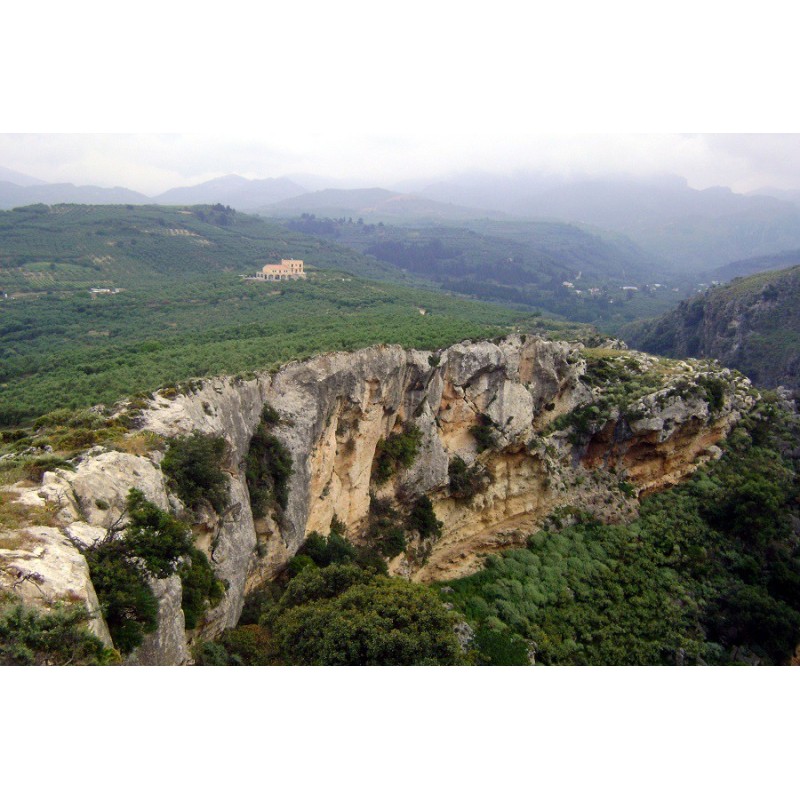 Huile d'olive Bio de Crète AOP Kolymvari Huile d'olive Bio de Crète AOP Kolymvari