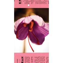 Safran BIO en stigmates Safran BIO en stigmates