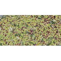 Olives de Kalamata Kanakis Olives de Kalamata Kanakis