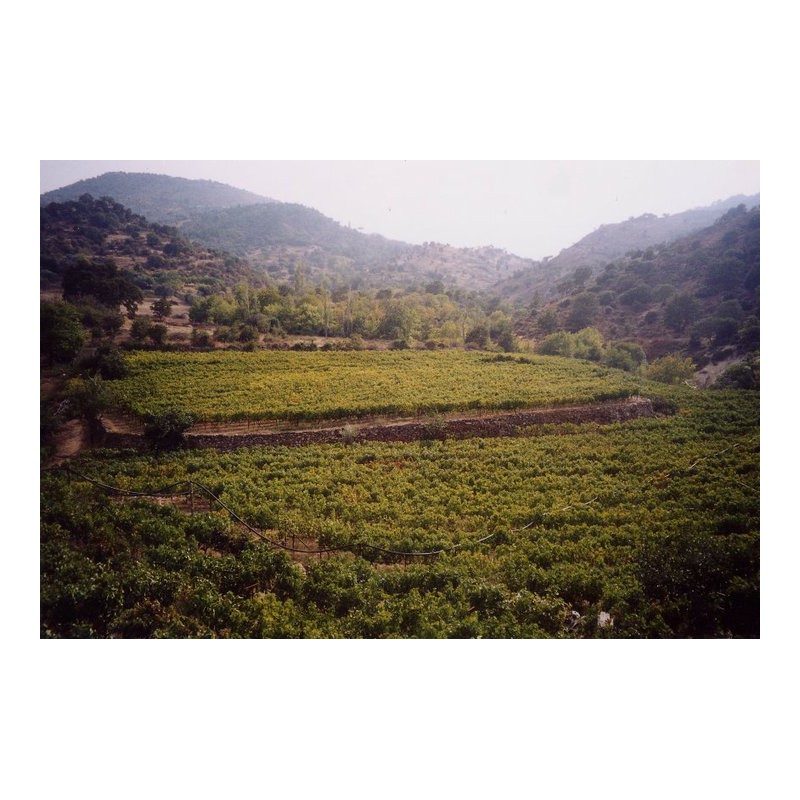 Domaine de Methymnaeos Domaine de Methymnaeos