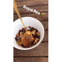 Miel de pin 450g Royal Bee