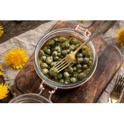 Câpres à l'huile d'olive BIO 180g