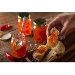 Piperomelo Chutney de poivron au miel Bio 260g