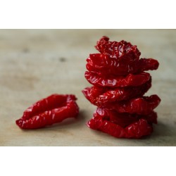 Tomates sechées au soleil BIO 1kg Liasto