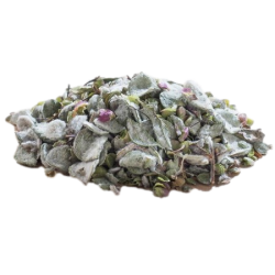 Dictame 35g Dictame 35g