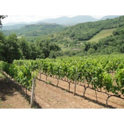 Vin rouge Naoussa Grande Réserve 750ml Vin rouge Naoussa Grande Réserve 750ml