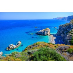 toasts à l'huile d'olive toasts à l'huile d'olive