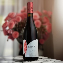 Vin rouge sec Dafnios