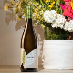 Vin blanc sec Dafnios Douloufakis