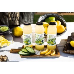Limonade Bio concombre - sirop d'agave Limonade Bio concombre - sirop d'agave