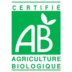 Limonade Bio concombre - sirop d'agave Limonade Bio concombre - sirop d'agave