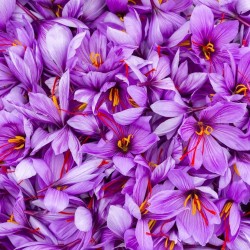 Miel grec au safran de Kozani AOP