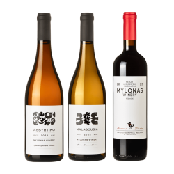 Trio dégustation de vins grecs