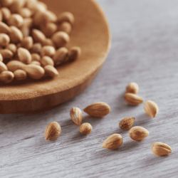 Graines de Mahaleb (Mahleb) – 50g | Épice grecque pour pâtisseries et douceurs orientales Graines de Mahaleb (Mahleb) – 50g | Épice grecque pour pâtisseries et douceurs orientales