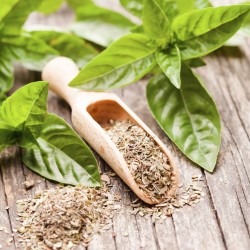 Basilic séché BIO – 50g | Herbe aromatique grecque Basilic séché BIO – 50g | Herbe aromatique grecque