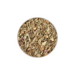 Basilic bio grec