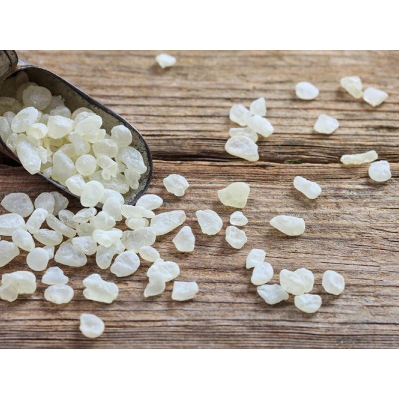 Mastic pur de Chios larmes moyennes sachet 10g Mastic pur de Chios larmes moyennes sachet 10g