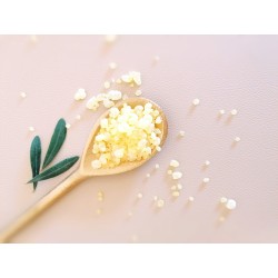 Mastic pur de Chios larmes moyennes sachet 10g