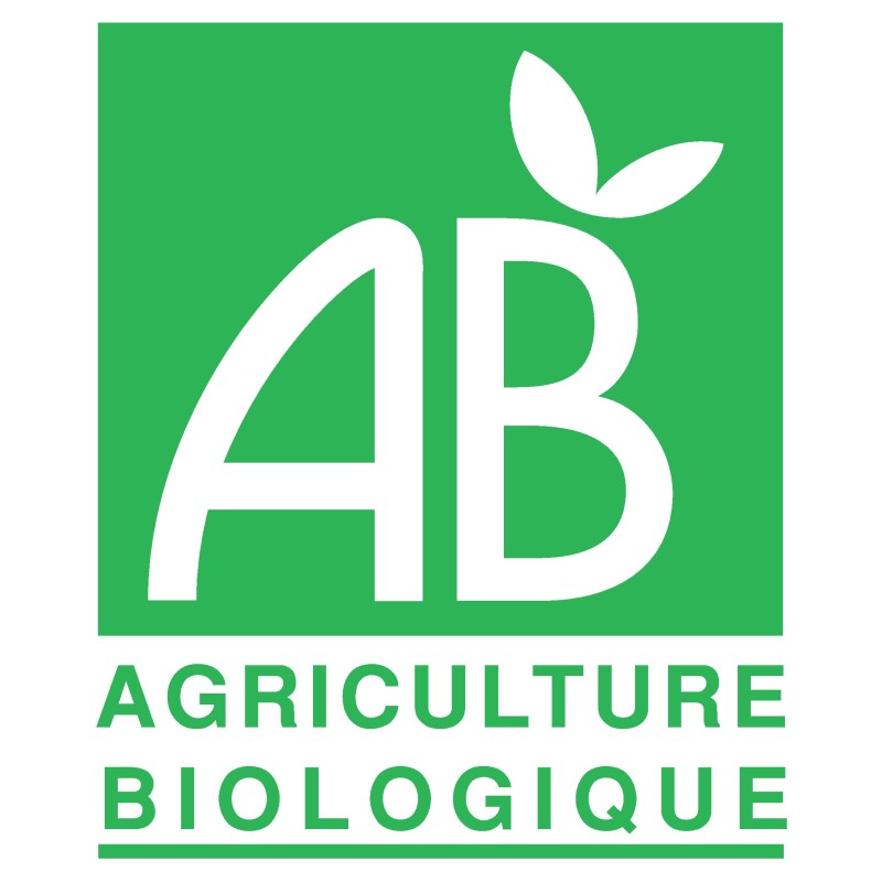 Limonade Bio sirop d'agave - gingembre Limonade Bio sirop d'agave - gingembre
