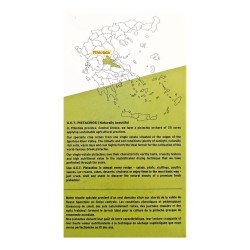 Pistaches grecques crues et non salées 160g