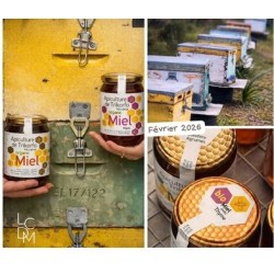 Miel de thym bio Origine Grèce en ligne