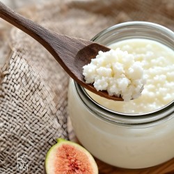 
											kefir figue
					