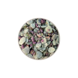 Dictame de Crète bio – Diktamo – Infusion grecque Botano | Origanum dictamnus