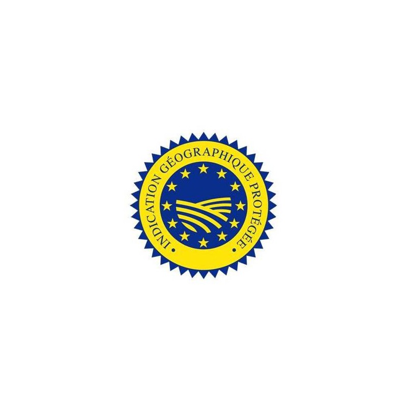 logo IGP logo IGP