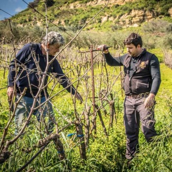 Silva Daskalaki Winery