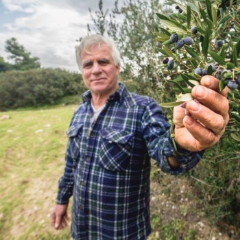 Eleonas - Famille Vallis