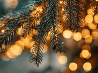 Sélection de Noël 2025 : la Grèce s’invite à vos fêtes !