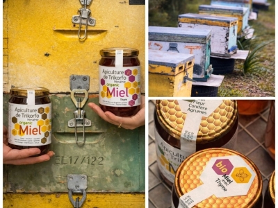 Yannis Vlahos : 20 ans d’apiculture et le tournant du bio